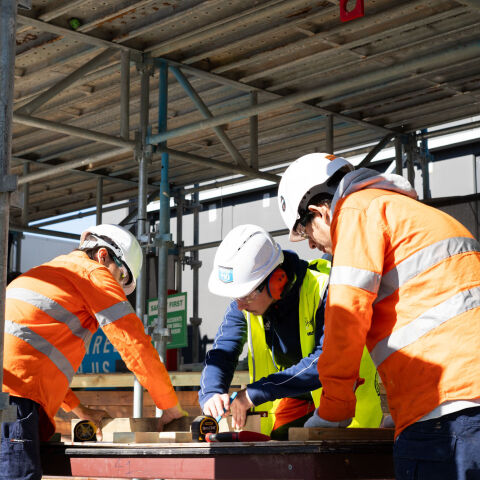 Apprentice Carpenter