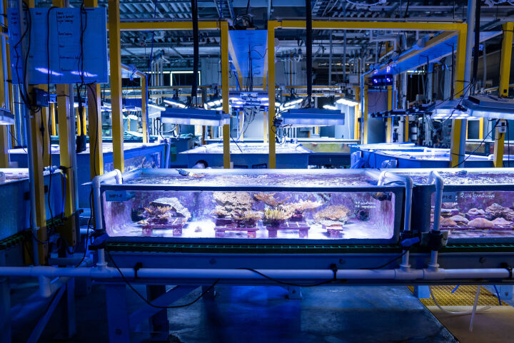 Australian Institute of Marine Science (AIMS) SeaSim Expansion