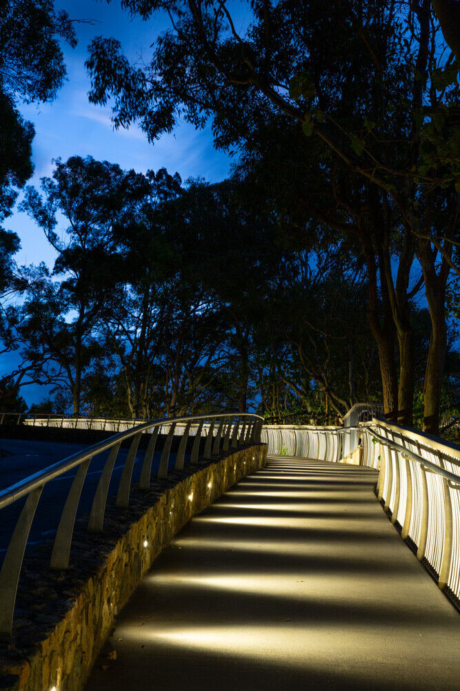 HB_CI_NoosaParkRoadBoardwalk (2) (LowRes).jpg