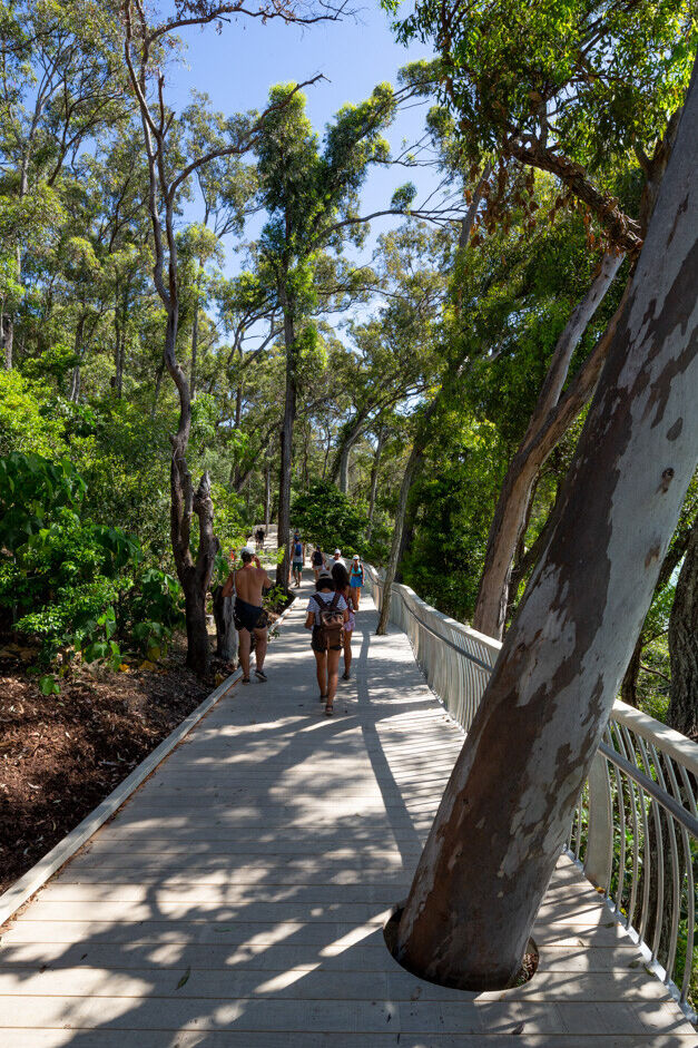 HB_CI_NoosaParkRoadBoardwalk (24) (LowRes).jpg