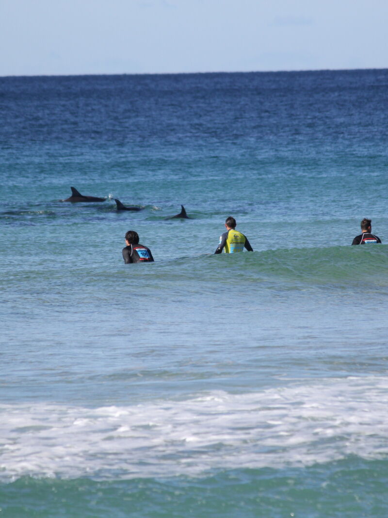 Hutchies-Board-Riders-4.jpg